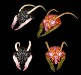Cosmic Character Pack Zubehör-Set für Actionfiguren Sphexxian Helmets Set - Smalltinytoystore