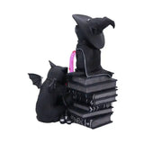 Cult Cuties Figur Curious Cauldron 18 cm - Smalltinytoystore