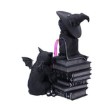 Cult Cuties Figur Curious Cauldron 18 cm - Smalltinytoystore