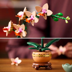 LEGO Botanicals Mini-Orchidee - Kunstblumen Set - Deko Fürs Wohnzimmer Oder Büro - Geschenk Für Frauen Und Männer - Künstliche Pflanzen - Bauset Für Erwachsene 10343