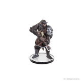 D&D Icons of the Realms: Adventures from Baldur's Gate Booster Brick (8) - Smalltinytoystore