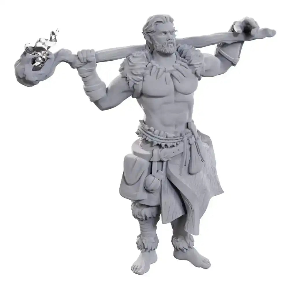 D&D Nolzur's Marvelous Miniatures Miniaturen unbemalt 2er-Pack Archdruid & Martial Arts Adept - Smalltinytoystore