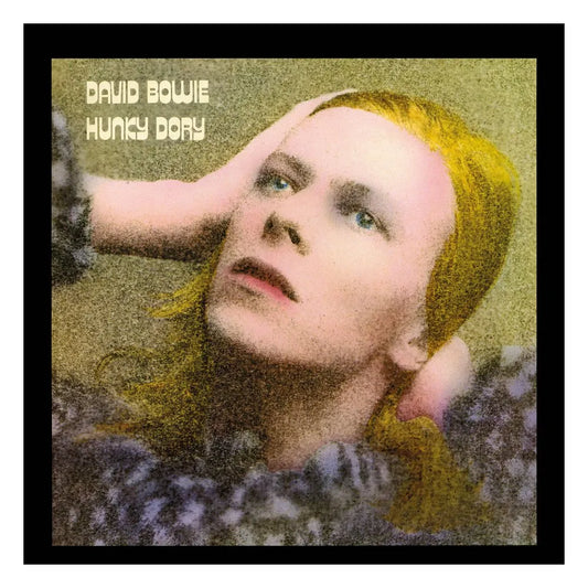 David Bowie Rock Saws Puzzle Hunky Dory (500 Teile) - Smalltinytoystore