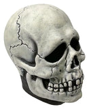 Don Post Maske Skull