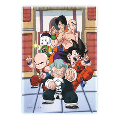 Dragon Ball Magnet Tournament - Smalltinytoystore