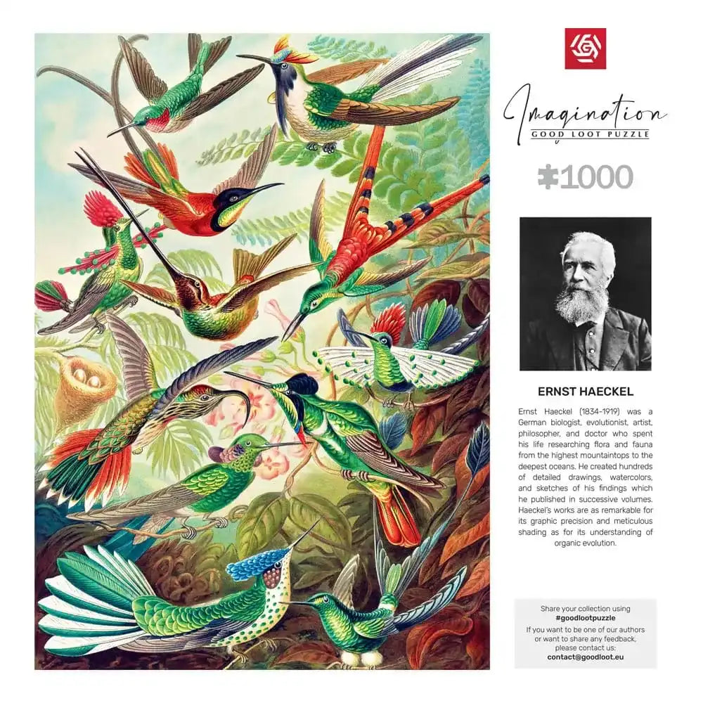 Ernst Haeckel Imagination Puzzle Hummingbirds/Kolibry (1000 Teile) - Smalltinytoystore