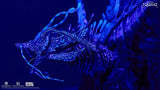 Godzilla Hall of Fame PVC Statue Titanus Tiamat 46 cm - Smalltinytoystore