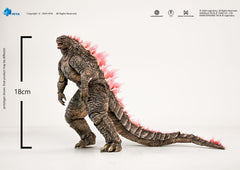 Godzilla x Kong: The New Empire Exquisite Basic Actionfigur Godzilla Evolved Ver. 18 cm - Smalltinytoystore