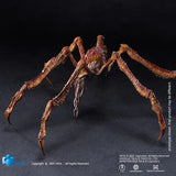 Godzilla x Kong The New Empire Exquisite Basic Actionfigur Scylla 18 cm - Smalltinytoystore