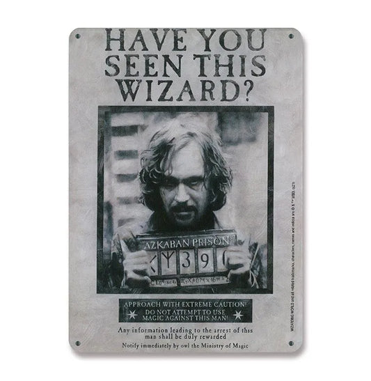 Harry Potter Blechschild Have You Seen This Wizard 15 x 21 cm - Smalltinytoystore