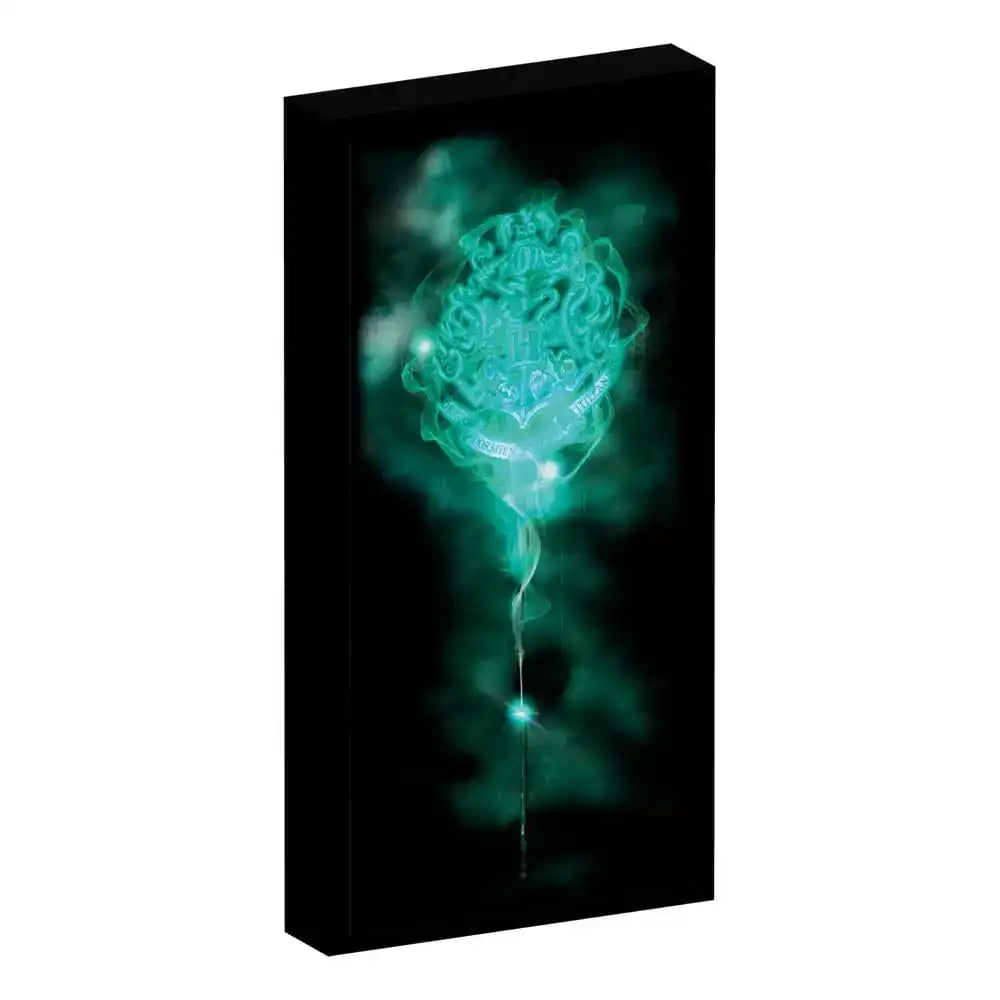 Harry Potter Canvas Poster (With Light) - Smalltinytoystore