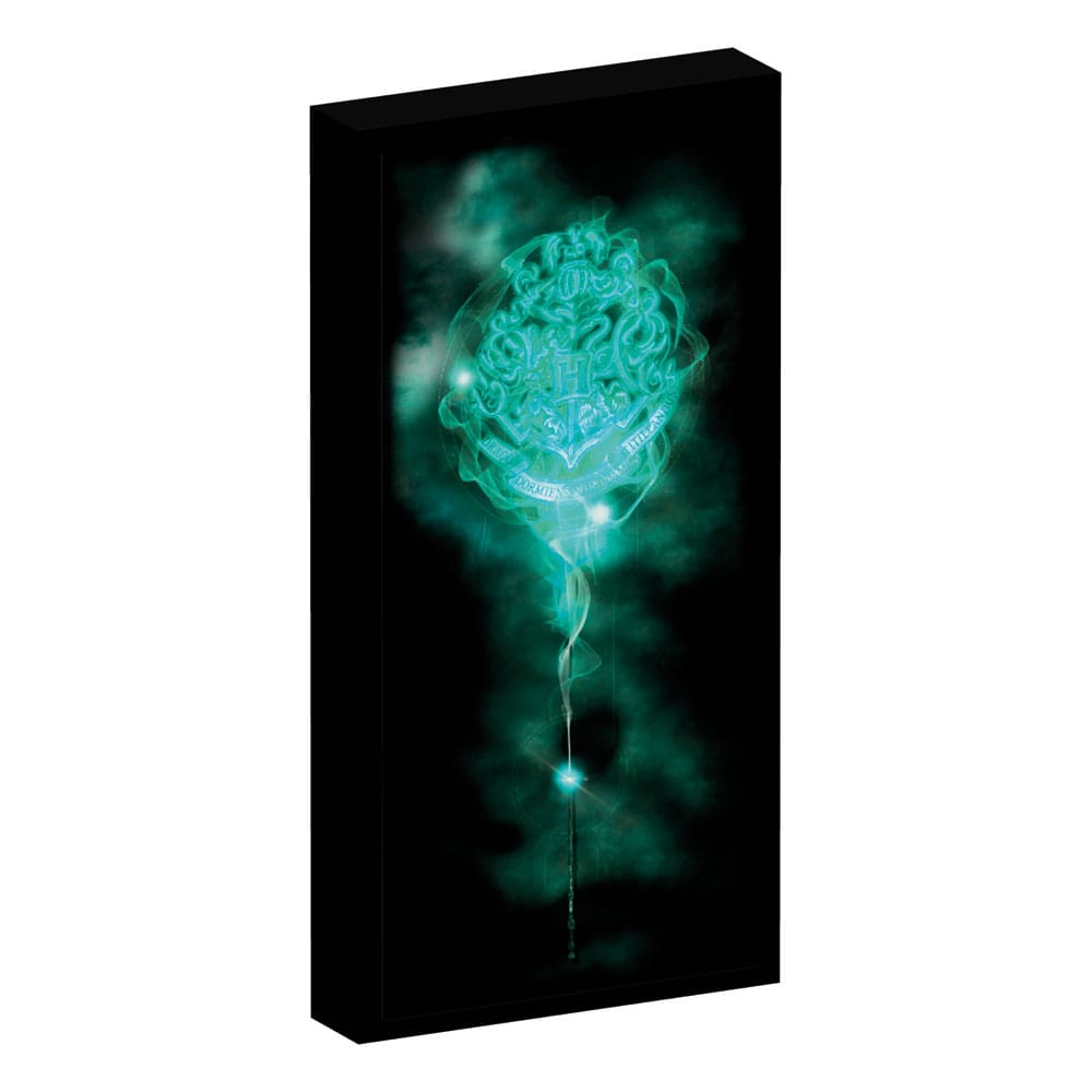 Harry Potter Canvas Poster (With Light) - Smalltinytoystore