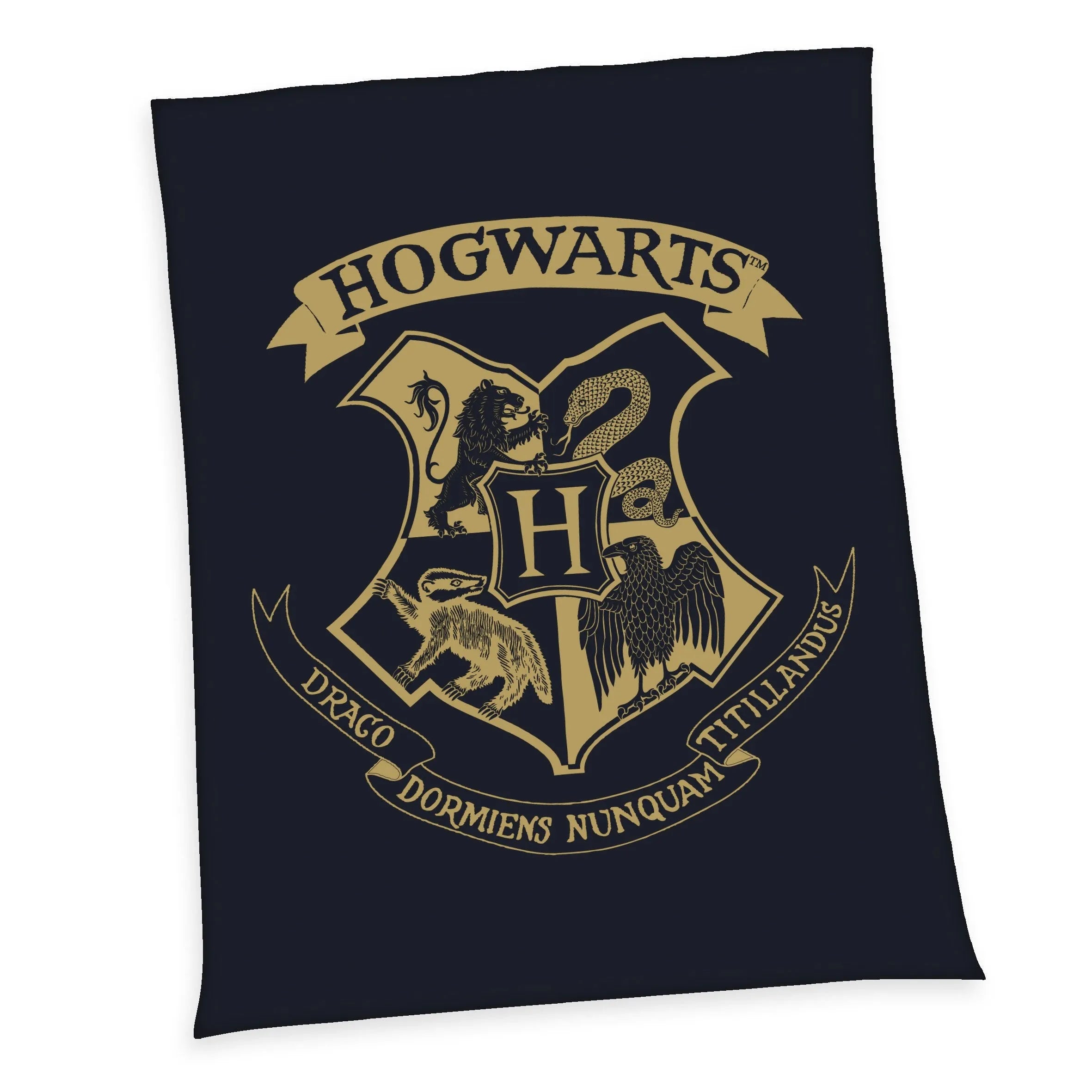 Harry Potter Fleecedecke Hogwarts 150 x 200 cm - Smalltinytoystore