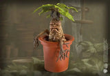 Harry Potter Magical Creatures Statue Mandrake 13 cm - Smalltinytoystore