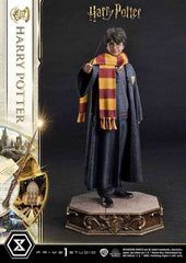 Harry Potter Prime Collectibles Statue 1/6 Harry Potter 28 cm - Smalltinytoystore