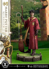 Harry Potter Prime Collectibles Statue 1/6 Harry Potter Quidditch Edition 31 cm - Smalltinytoystore