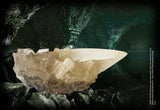 Harry Potter Replik Kristall-Kelch - Smalltinytoystore