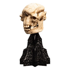 Herr der Ringe Mini Statue Skull of a Cave Troll 21 cm - Smalltinytoystore