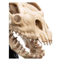 Herr der Ringe Mini Statue Skull of a Fell Beast 21 cm - Smalltinytoystore