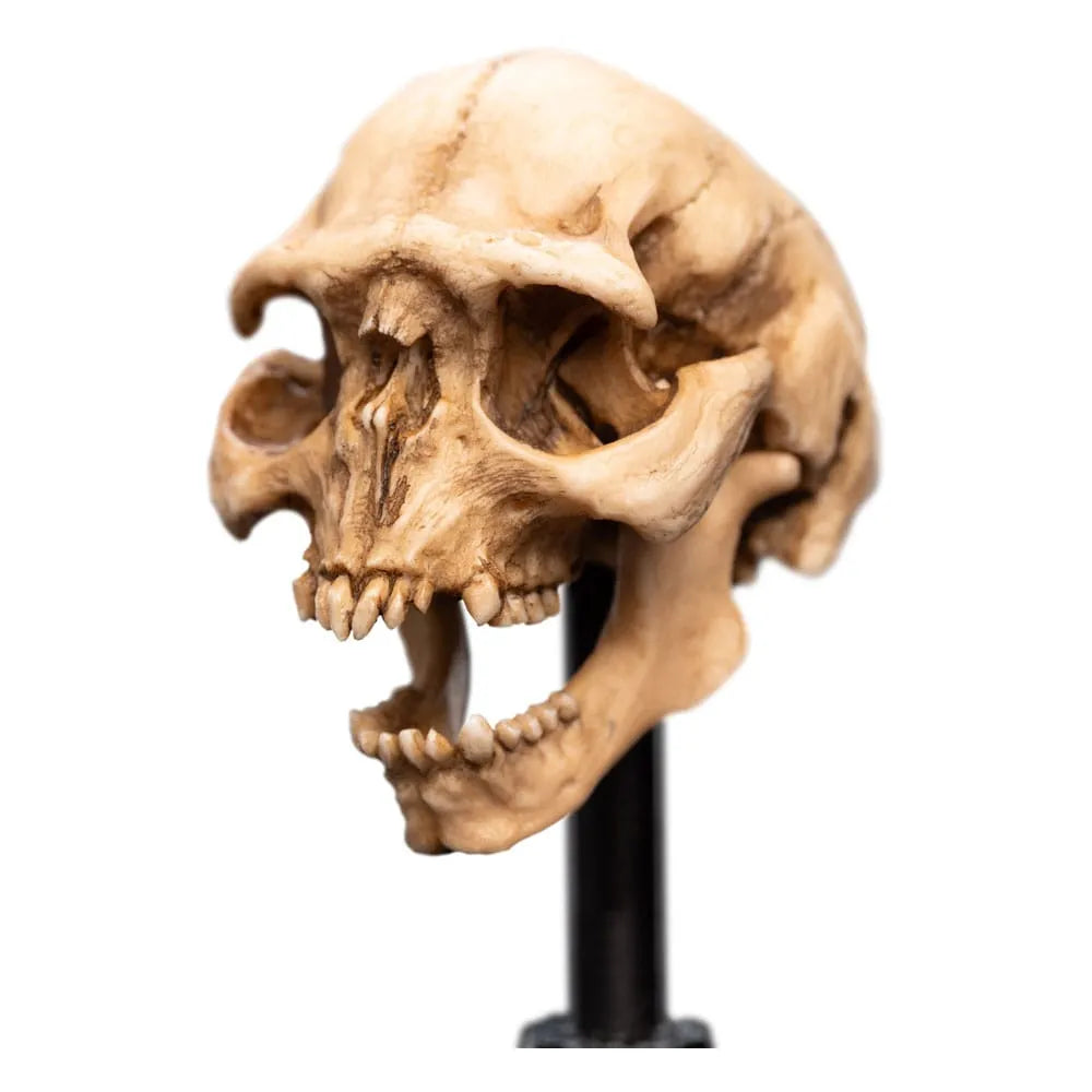 Herr der Ringe Mini Statue Skull of a Moria Orc 13 cm - Smalltinytoystore