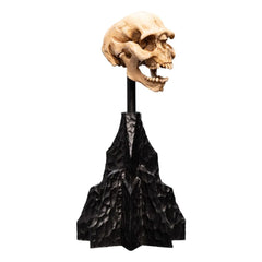 Herr der Ringe Mini Statue Skull of a Moria Orc 13 cm - Smalltinytoystore