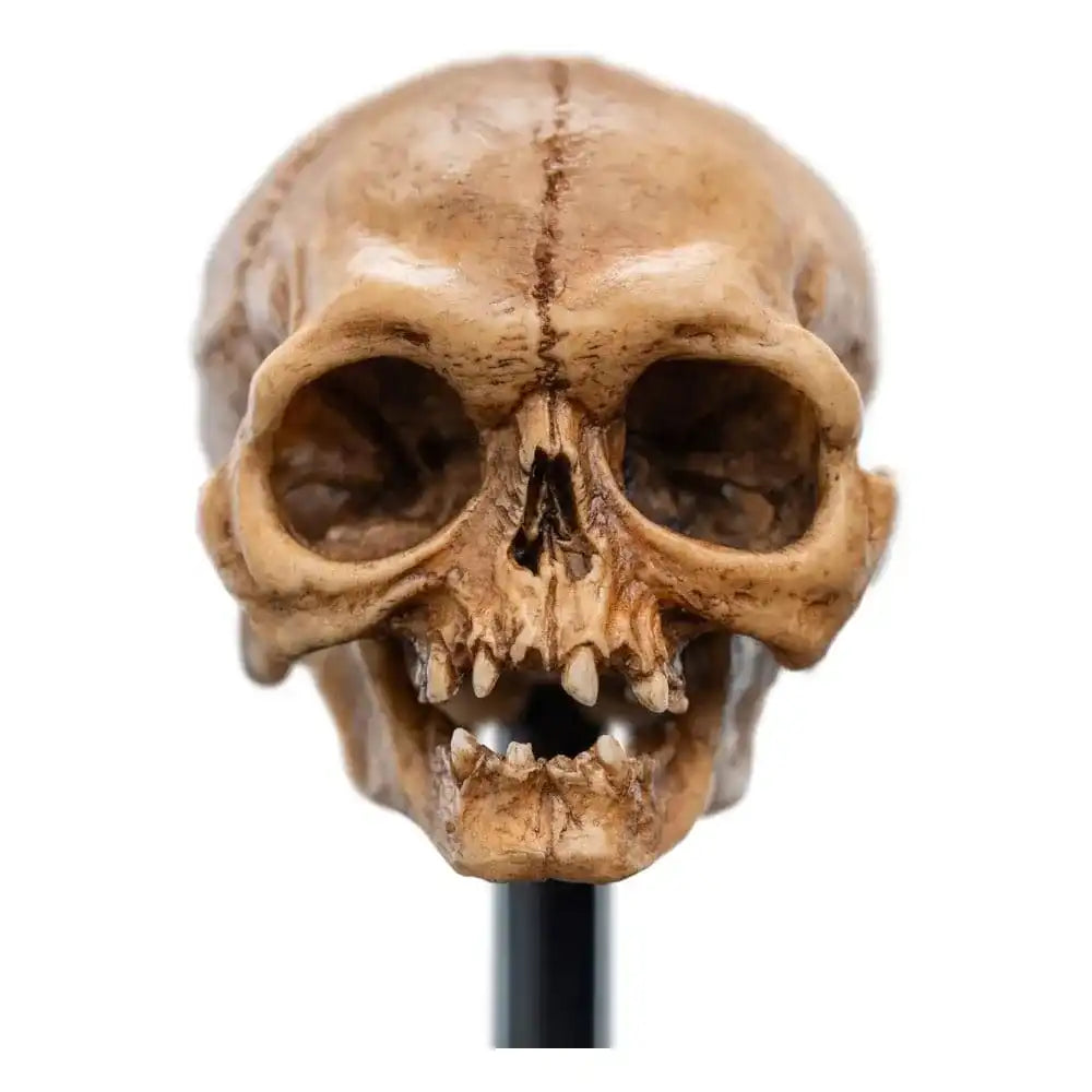 Herr der Ringe Mini Statue Skull of Gollum 13 cm - Smalltinytoystore
