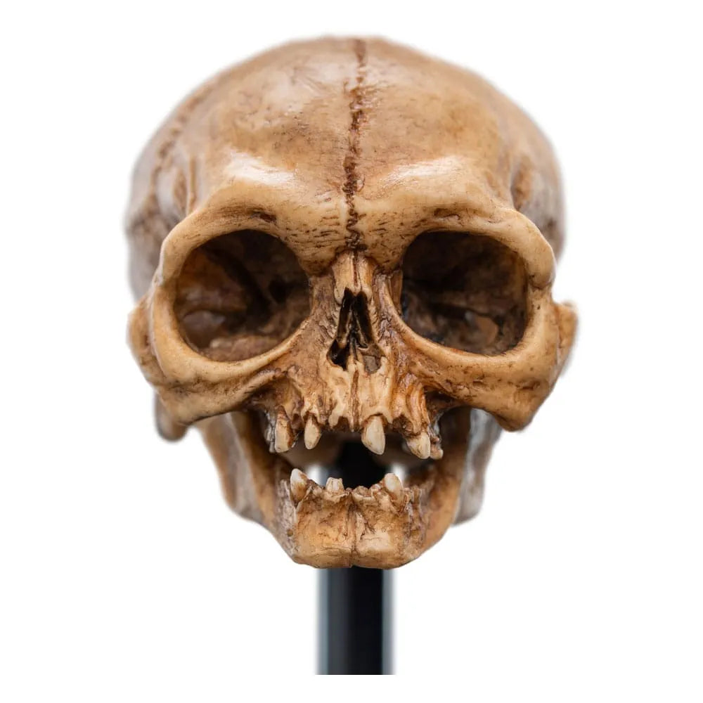 Herr der Ringe Mini Statue Skull of Gollum 13 cm - Smalltinytoystore