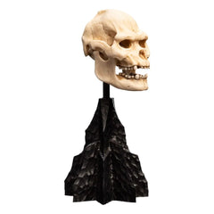 Herr der Ringe Mini Statue Skull of Lurtz 14 cm - Smalltinytoystore