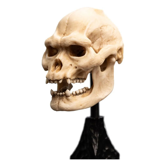 Herr der Ringe Mini Statue Skull of Lurtz 14 cm - Smalltinytoystore