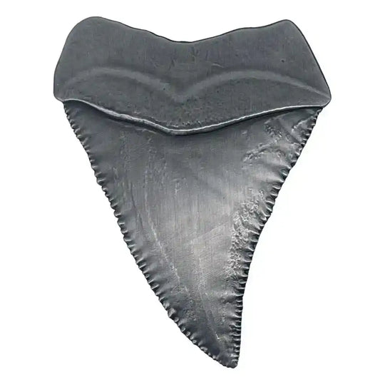 Jaws Medaille 50th Anniversary Shark Tooth - Smalltinytoystore