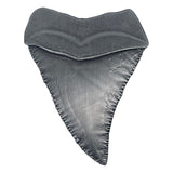 Jaws Medaille 50th Anniversary Shark Tooth - Smalltinytoystore