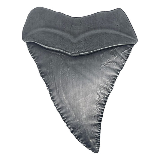 Jaws Medaille 50th Anniversary Shark Tooth - Smalltinytoystore