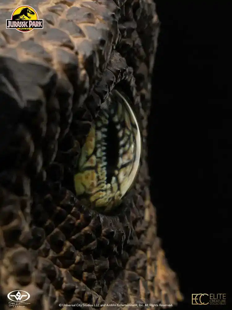 Jurassic Park 1/1 Replik Velociraptor Eye 23 cm - Smalltinytoystore