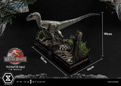 Jurassic Park III Legacy Museum Collection Statue 1/6 Velociraptor Female Bonus Version 44 cm - Smalltinytoystore