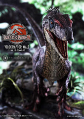 Jurassic Park III Legacy Museum Collection Statue 1/6 Velociraptor Male 40 cm - Smalltinytoystore