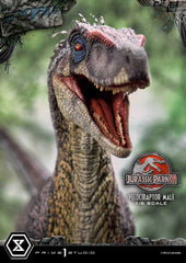 Jurassic Park III Legacy Museum Collection Statue 1/6 Velociraptor Male 40 cm - Smalltinytoystore