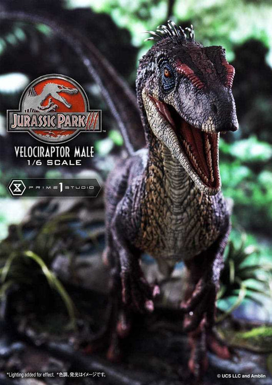 Jurassic Park III Legacy Museum Collection Statue 1/6 Velociraptor Male Bonus Version 40 cm - Smalltinytoystore