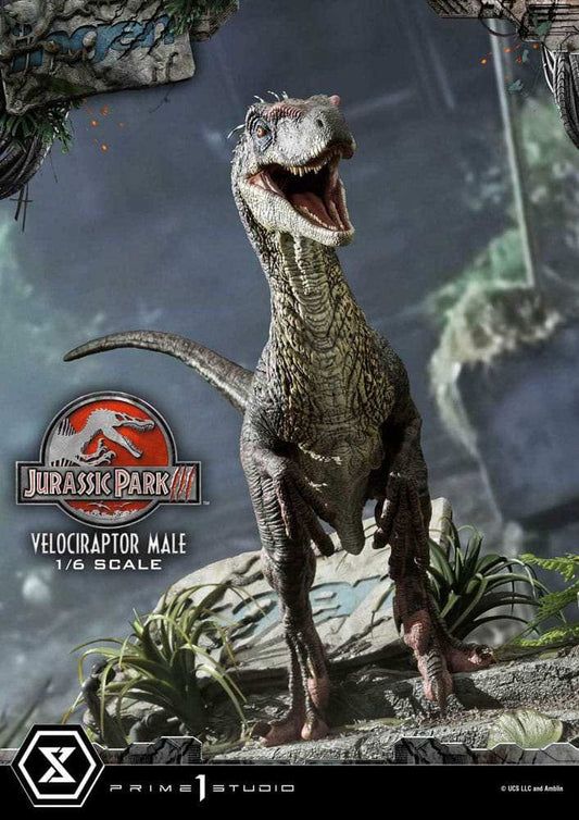Jurassic Park III Legacy Museum Collection Statue 1/6 Velociraptor Male Bonus Version 40 cm - Smalltinytoystore