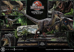 Jurassic Park III Legacy Museum Collection Statue 1/6 Velociraptor Male Bonus Version 40 cm - Smalltinytoystore