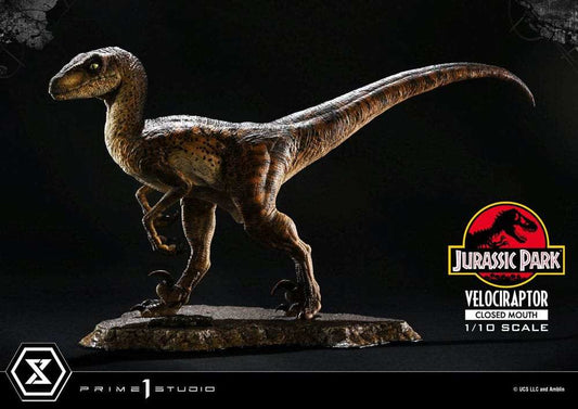 Jurassic Park Prime Collectibles Statue 1/10 Velociraptor Closed Mouth 19 cm - Smalltinytoystore