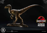Jurassic Park Prime Collectibles Statue 1/10 Velociraptor Closed Mouth 19 cm - Smalltinytoystore