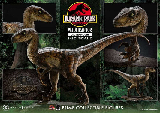 Jurassic Park Prime Collectibles Statue 1/10 Velociraptor Closed Mouth 19 cm - Smalltinytoystore