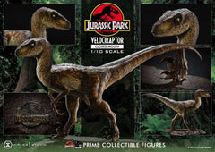 Jurassic Park Prime Collectibles Statue 1/10 Velociraptor Closed Mouth 19 cm - Smalltinytoystore