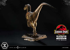 Jurassic Park Prime Collectibles Statue 1/10 Velociraptor Closed Mouth 19 cm - Smalltinytoystore