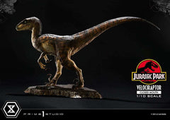 Jurassic Park Prime Collectibles Statue 1/10 Velociraptor Closed Mouth 19 cm - Smalltinytoystore