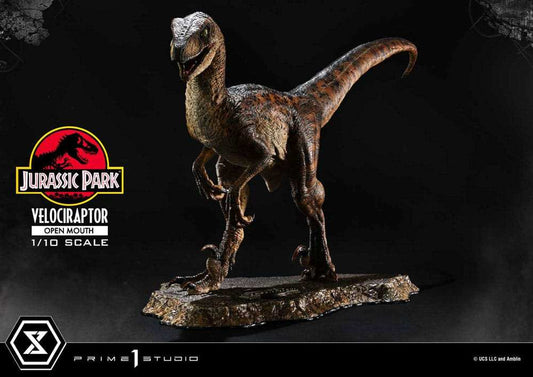 Jurassic Park Prime Collectibles Statue 1/10 Velociraptor Open Mouth 19 cm - Smalltinytoystore