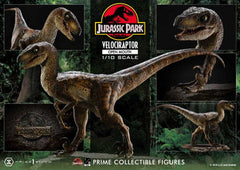 Jurassic Park Prime Collectibles Statue 1/10 Velociraptor Open Mouth 19 cm - Smalltinytoystore