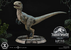 Jurassic World: Fallen Kingdom Prime Collectibles Statue 1/2 Baby Blue 34 cm - Smalltinytoystore