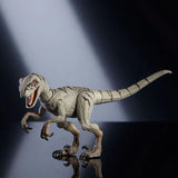 Jurassic World Hammond Collection Actionfigur Atrociraptor Ghost - Smalltinytoystore