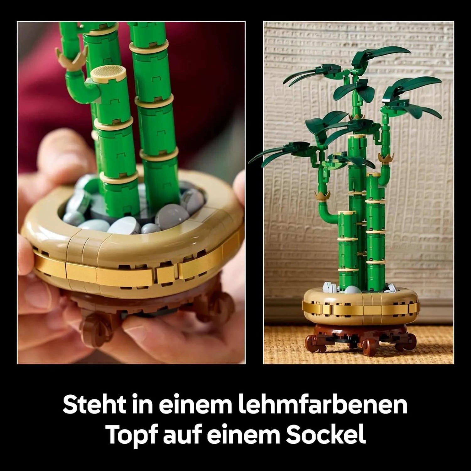 LEGO® 10344 Glücks-Bambus - Smalltinytoystore